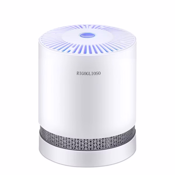RIGOGLIOSO Air Purifier For Home True HEPA Filters Compact Desktop Purifiers Filtration with Night Light Air Cleaner GL2109